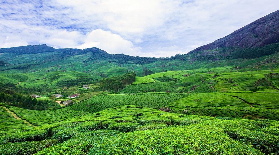 Kerala Top 10 Tourist Spots